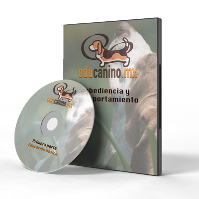 dvd3